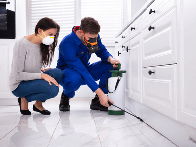 About Chemical Treatment Saint Bonifacius - chemical treatment experts in Saint Bonifacius